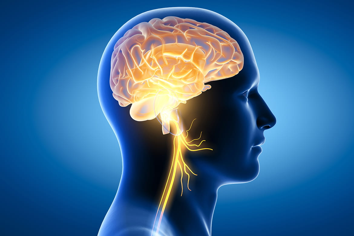 vagus-nerve-stimulation-and-the-conditions-it-treats-banner